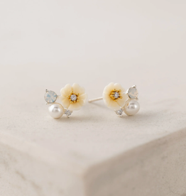 Lover's Tempo Sweetpea stud