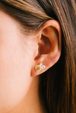 Lover's Tempo Lover's Tempo Sweetpea stud