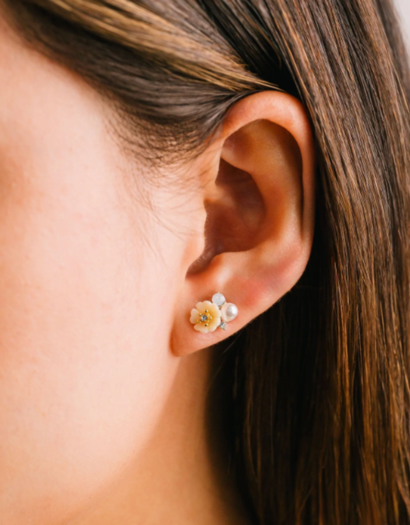 Lover's Tempo Lover's Tempo Sweetpea stud