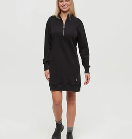 Tentree Weston dress