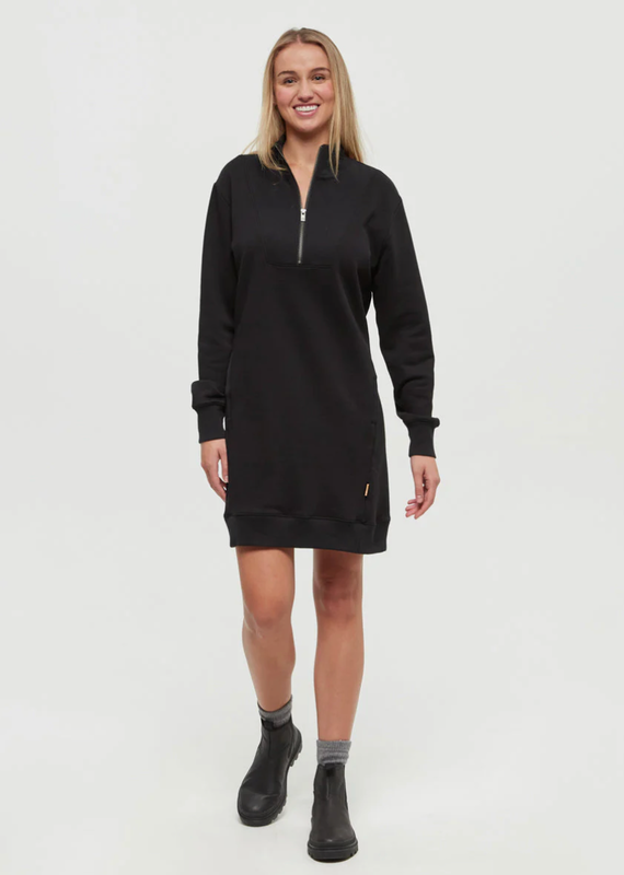 Tentree Weston dress