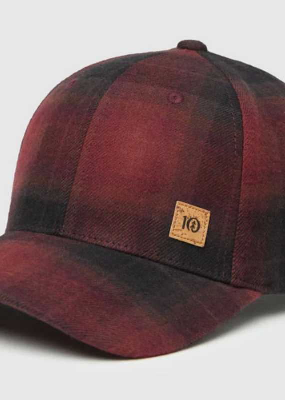 Tentree Forest Cork Elevation Hat