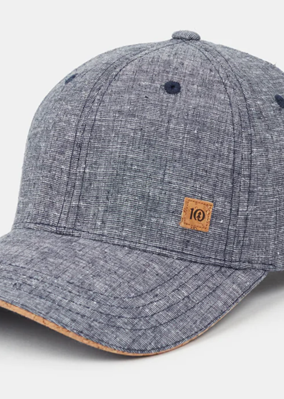 Tentree Cork Elevation Hat