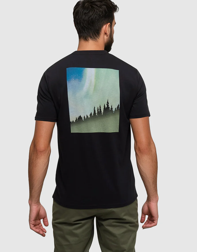 Tentree Tentree Northern Aurora Tee