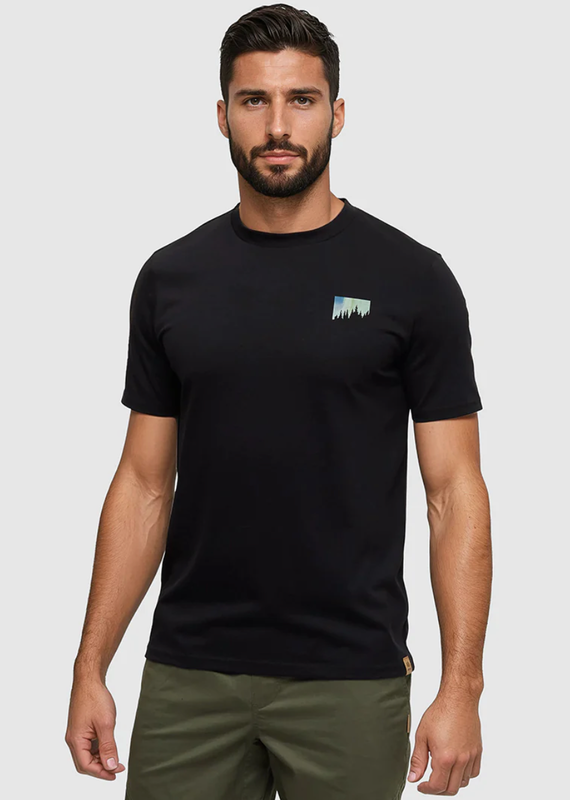 Tentree Northern Aurora Tee