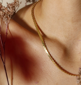 House of Jewllery Serpentine Chain 3mm 16" + 2"