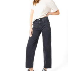 Modern American Daisy Tell