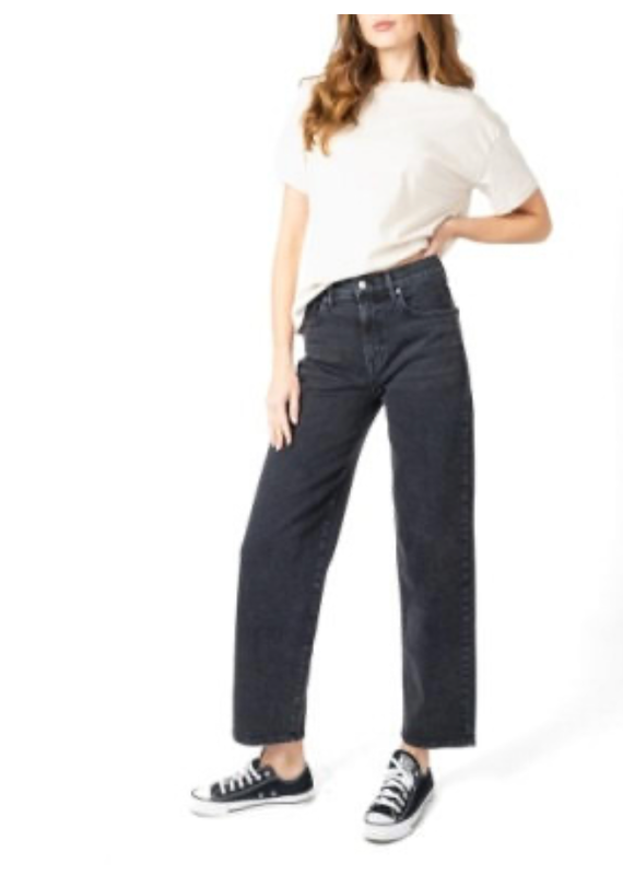Modern American Daisy Tell
