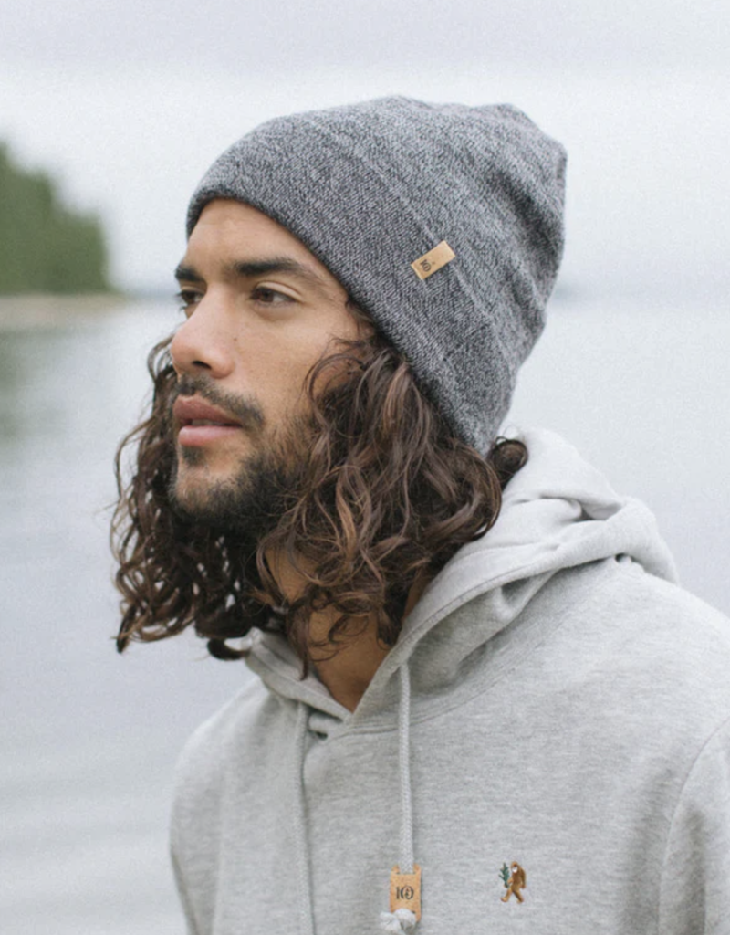 Tentree Tentree Wool Kurt Beenie