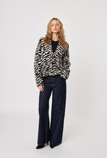 John & Jenn John & Jenn Xavier cardi