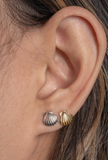 House of Jewellery HOJ Seashell Studs
