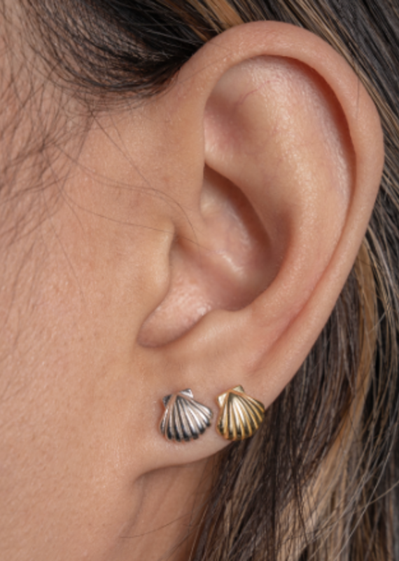 House of Jewellery Seashell Studs