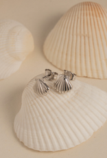 House of Jewellery HOJ Seashell Studs