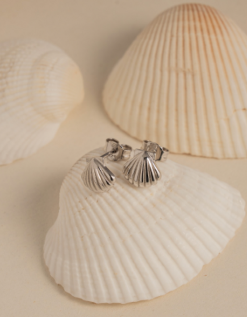 House of Jewellery HOJ Seashell Studs