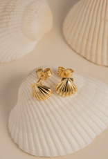 House of Jewellery HOJ Seashell Studs