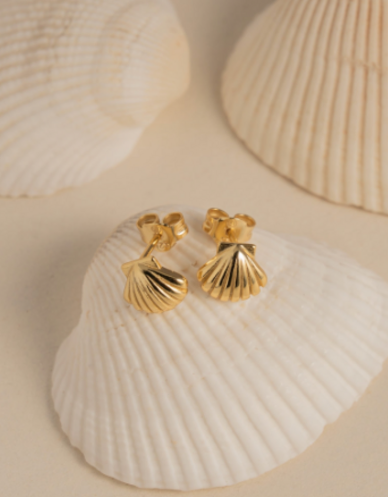 House of Jewellery HOJ Seashell Studs