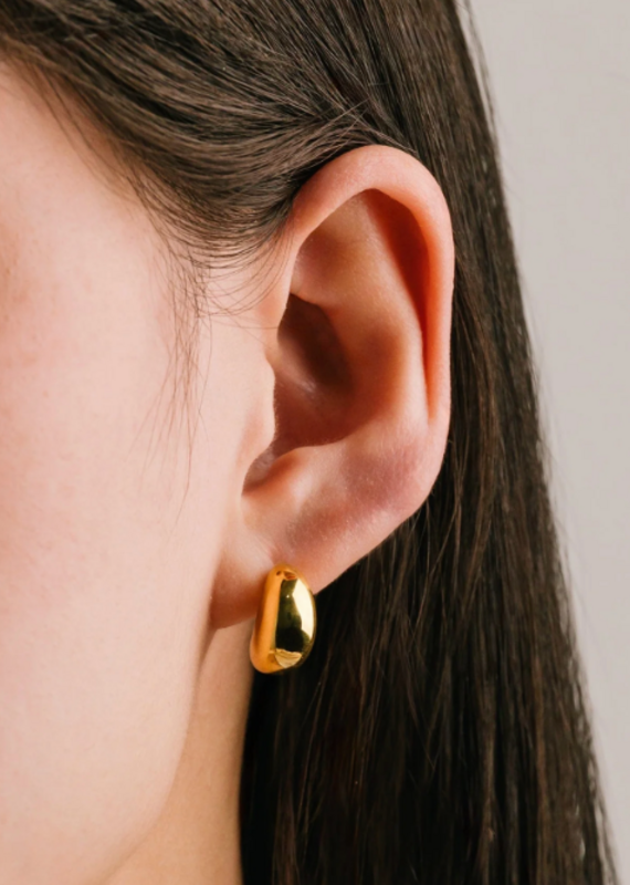 Lover's Tempo Crest Dome earrings
