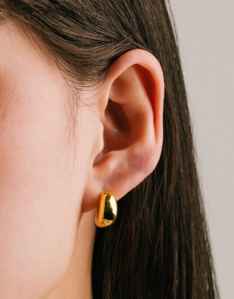 Lover's Tempo Lover's Tempo Crest Dome earrings