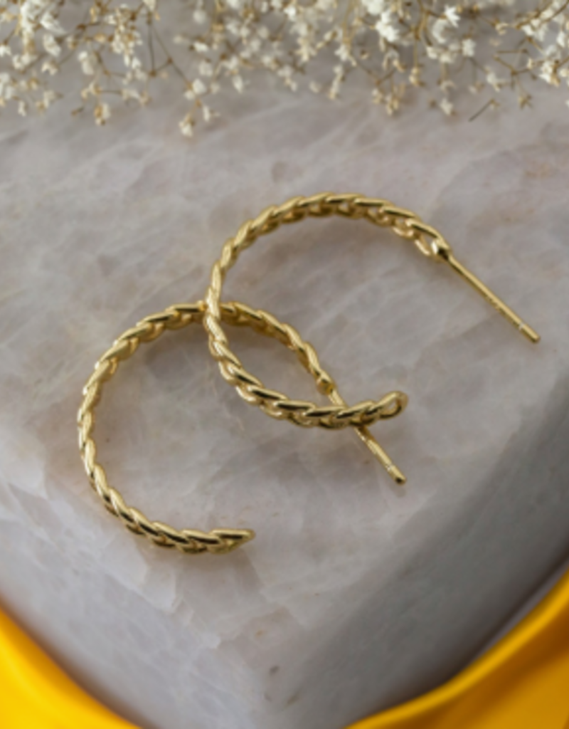 House of Jewellery HOJ Curb Chain Hoops