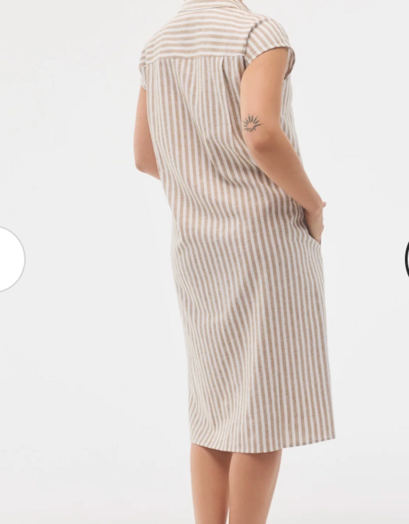 Fig Fig Kelly shirt dress