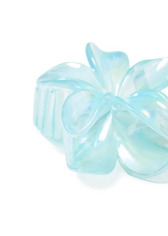 B.Young Valpuri hair clips