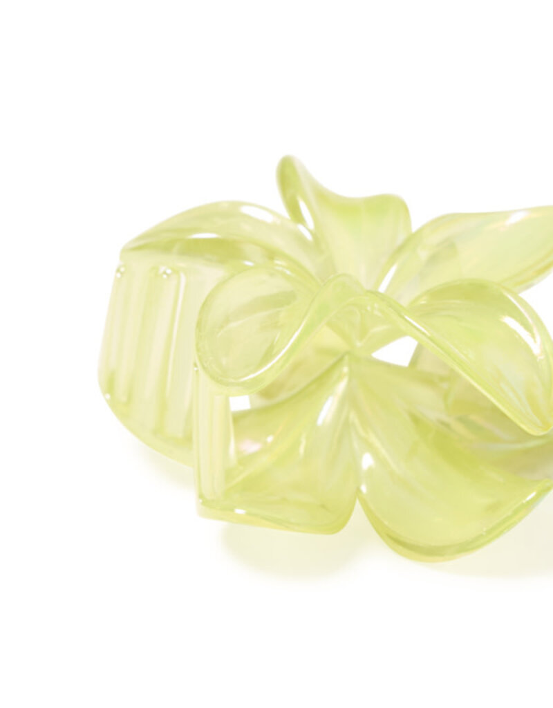 B.Young B. Young Valpuri hair clips