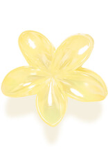 B.Young B. Young Valpuri hair clips