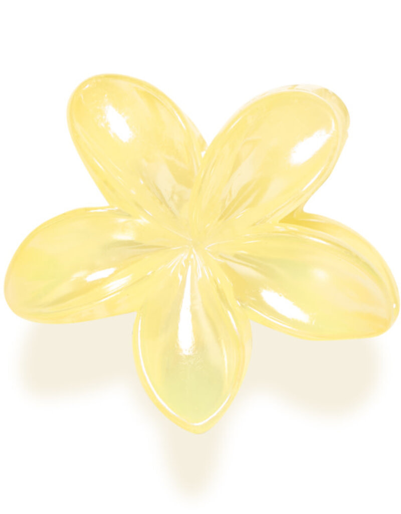 B.Young B. Young Valpuri hair clips