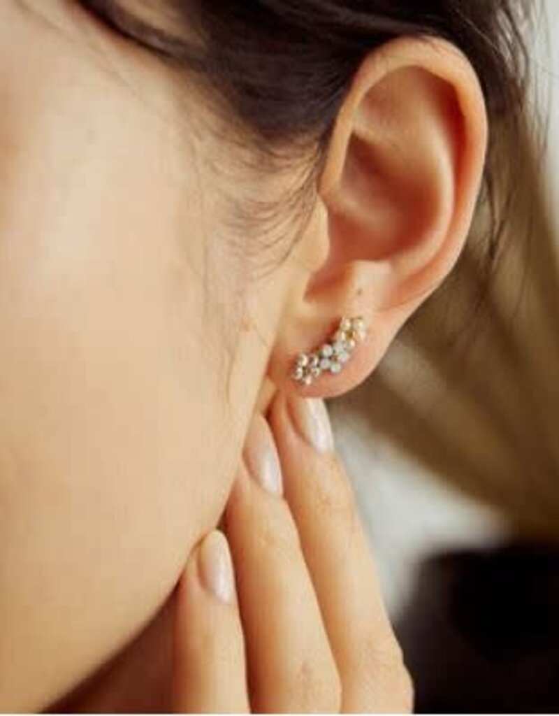 Lover's Tempo Floral climber earring