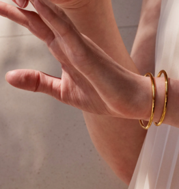 Jenny Bird Dane bangle set
