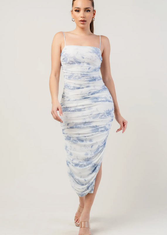 Landscape Mesh dress
