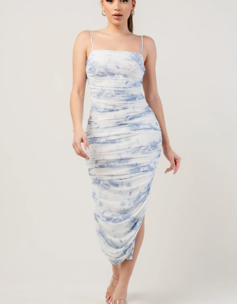Privy Landscape Mesh dress