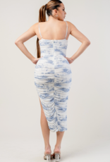 Privy Landscape Mesh dress