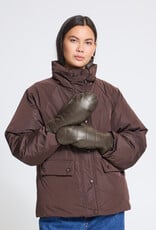 Ichi Ichi Nima mitt