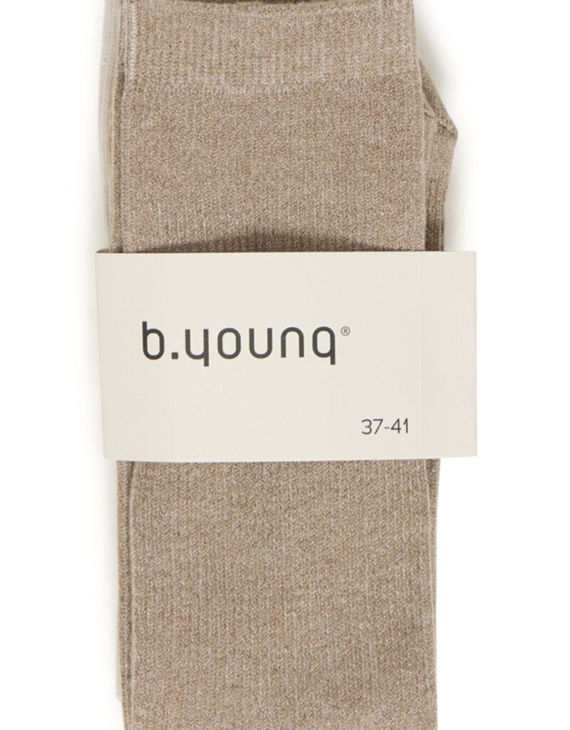 B. Young B. Young Viscosy 2pk socks