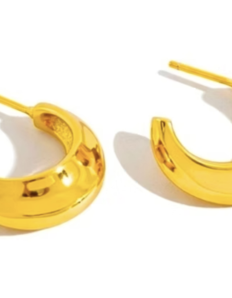 Alysha James Alysha James Thick Rounded mini hoop