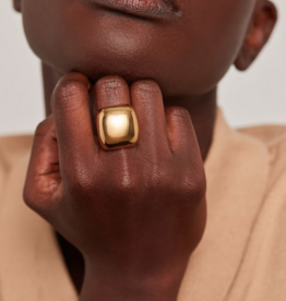 Jenny Bird Tate ring