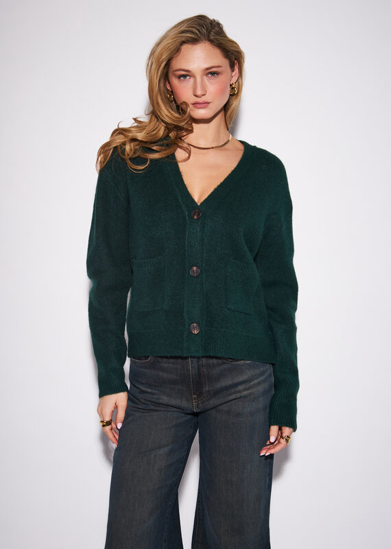 John & Jenn Braxton cardi
