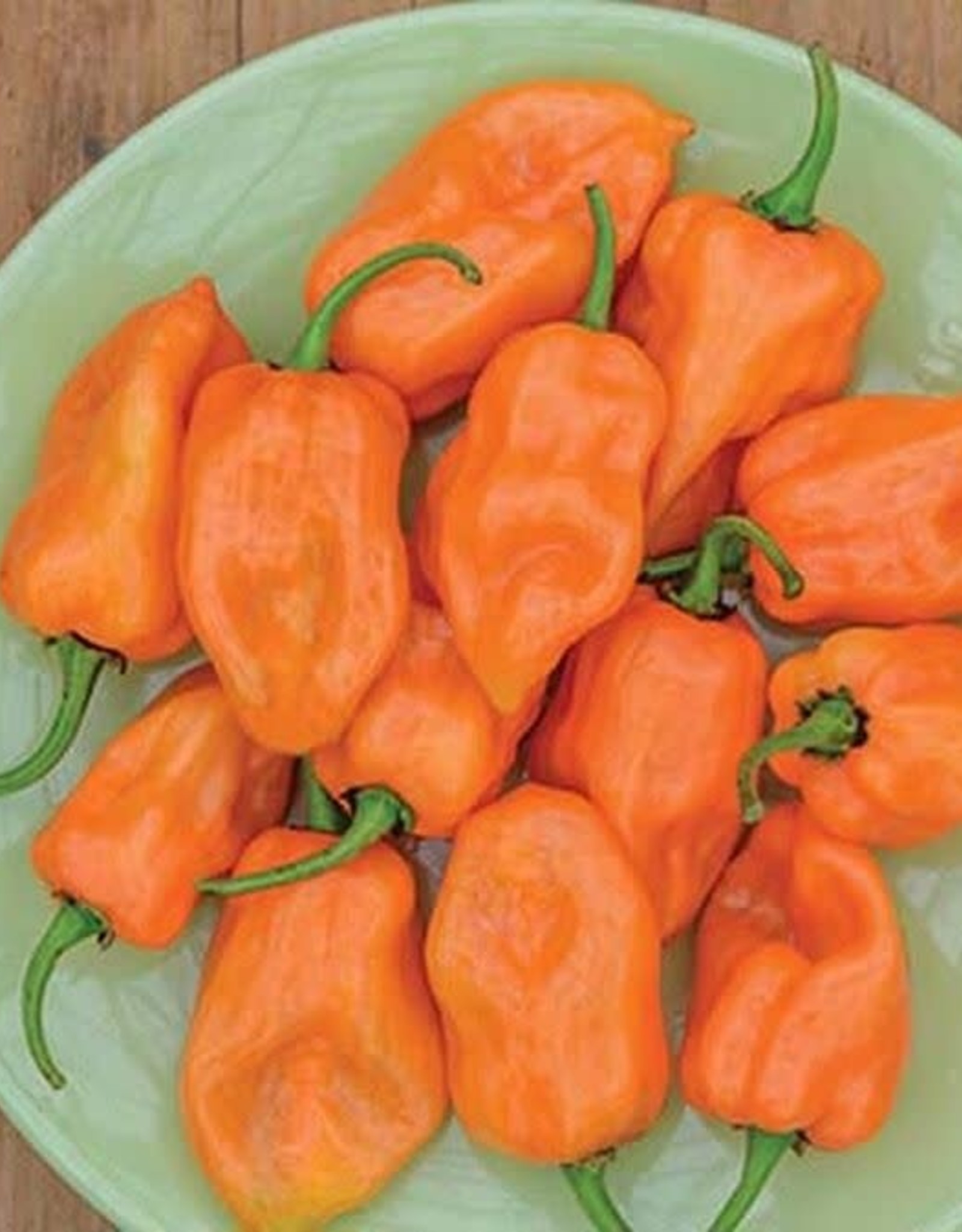 HABANERO HOT PEPPER 4" - Johnston's Greenhouse & Landscaping
