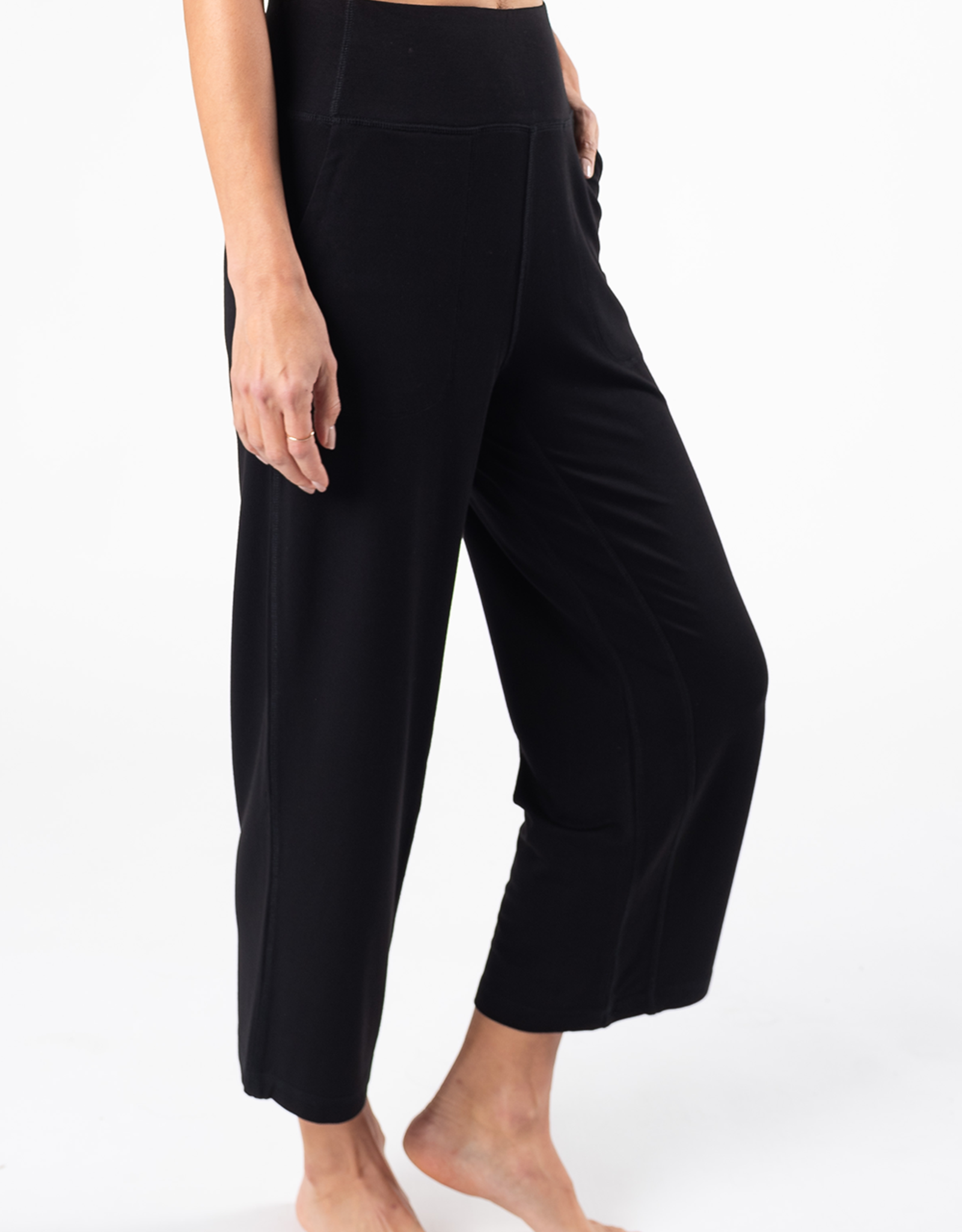Terrera Dion Cropped Pant - 3133