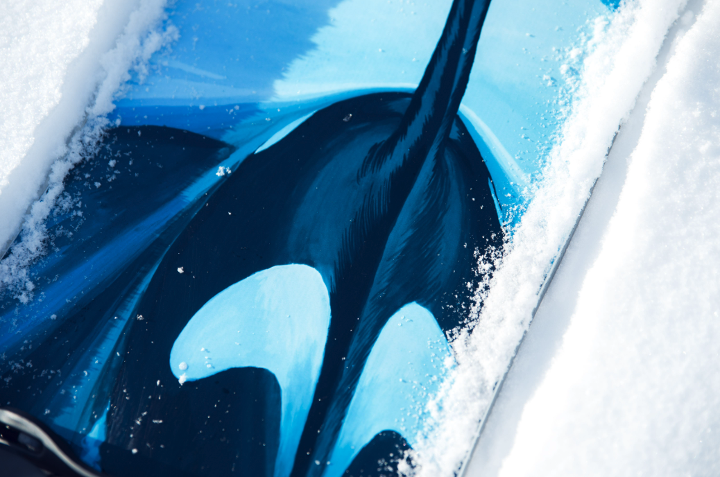 Lib Tech ORCA 2024 Industry Skate & Snow