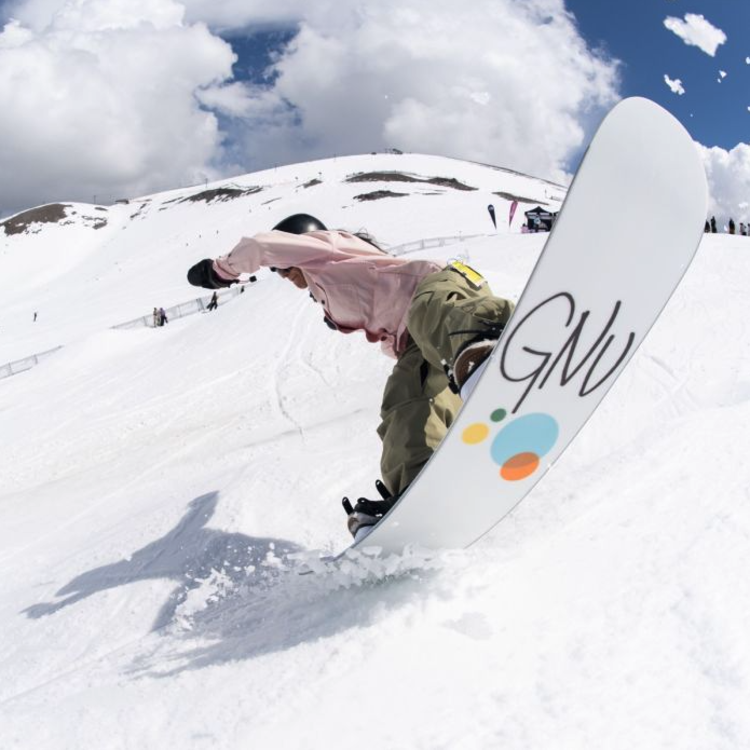 GNU Gnu B NICE  2024