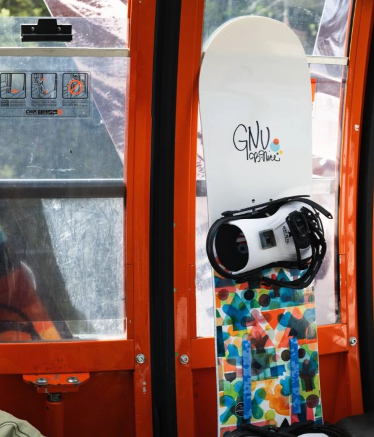 GNU Gnu B NICE  2024