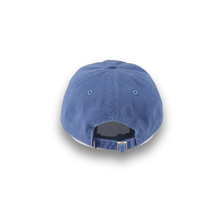 Industry INDUSTRY ROSETTES DAD HAT BLUE