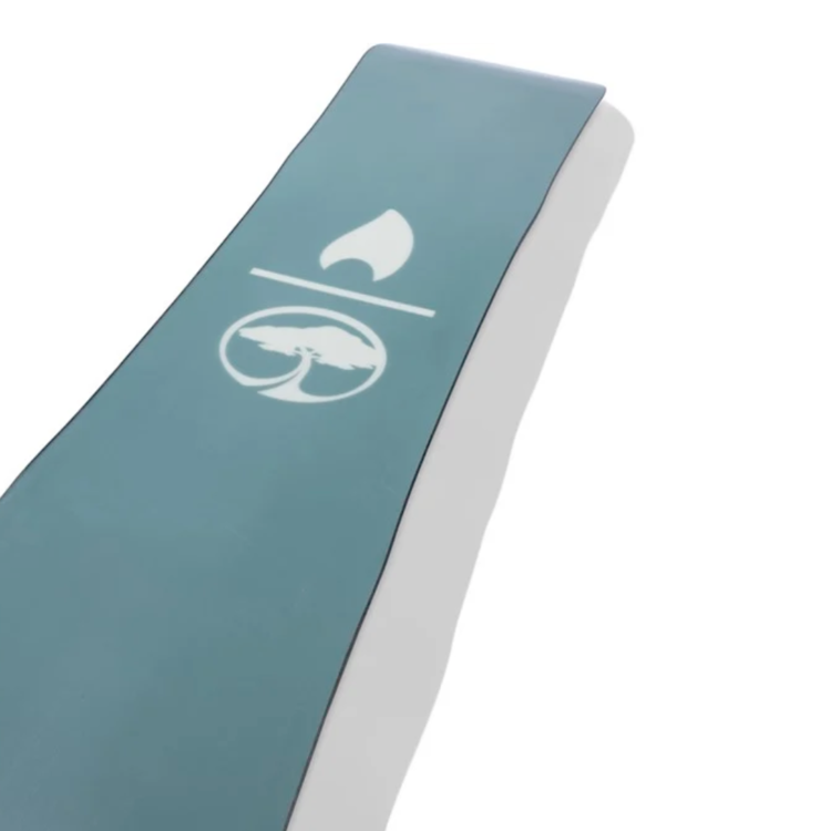 ARBOR Arbor CADENCE  2026