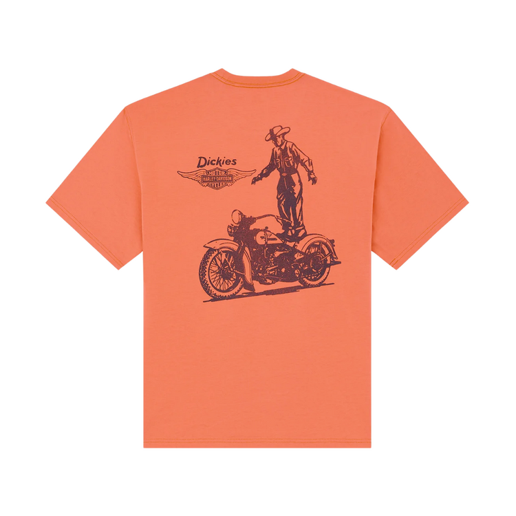 DICKIES DICKIES x HD VINTAGE WASH TEE HD VINTAGE ORANGE
