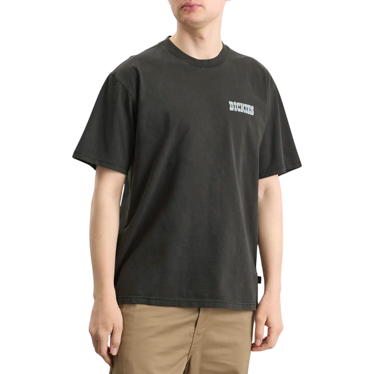 DICKIES DICKIES BUCHTELL SS TEE BLACK
