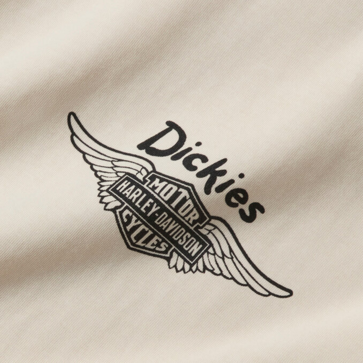 DICKIES DICKIES x HD VINTAGE WASH TEE BONE