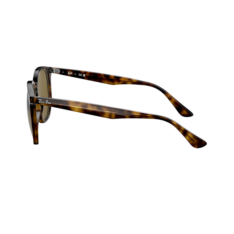 Ray-Ban Ray-Ban 0RB4306 LIGHT HAVANA W/DARK BROWN