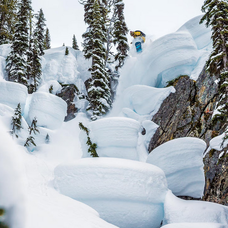 MENS SNOWBOARDS